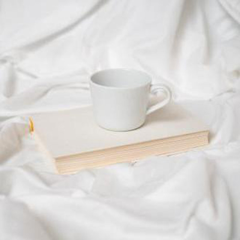 soft and skin-friendly 4-Piece Rayon From Bamboo Sheet Set, Queen Sheet Set  with 2 Pillowcases, White
