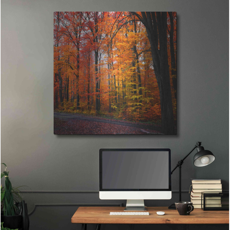 «Rainbow Fall» par Philippe Sainte-Laudy, art mural en métal, 36 po x 36 po, H 36 po x l 36 po