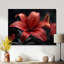Photo moderne de lys rouges et noirs - art mural lys-2032650164-2032650161