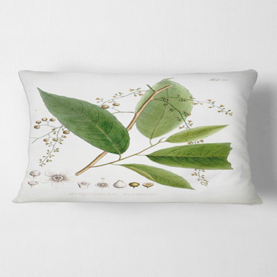 Housse et insert de coussin brésilien brésilien I