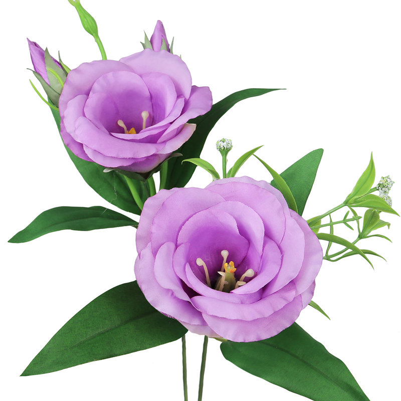 Lisianthus artificiel, Lavande