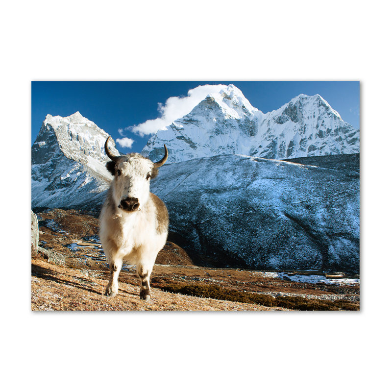 Yak Mountains - Wrapped Canvas Art Prints