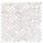Oyster 1" Fish Scale Polished Pearl Mosaic Tile