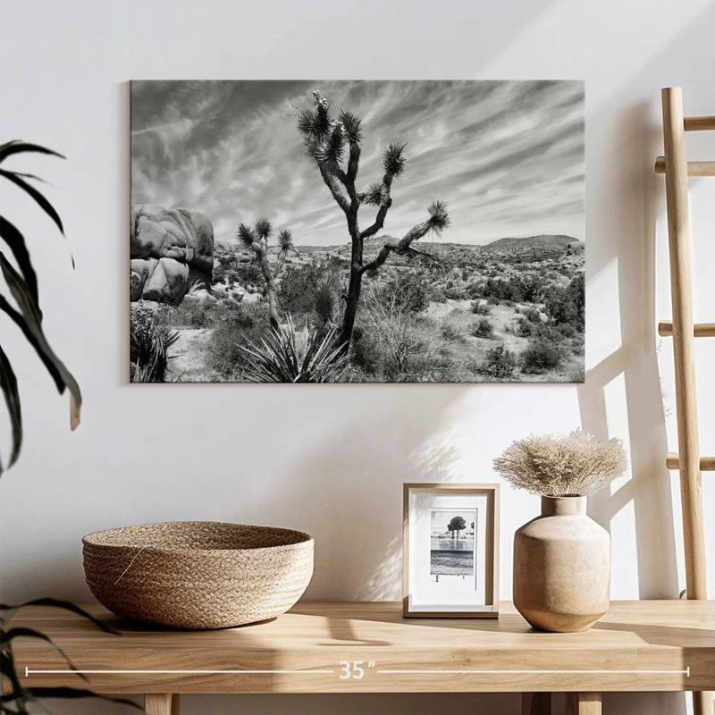 Harnek Desert Joshua Tree, H 16 po x l 24 po