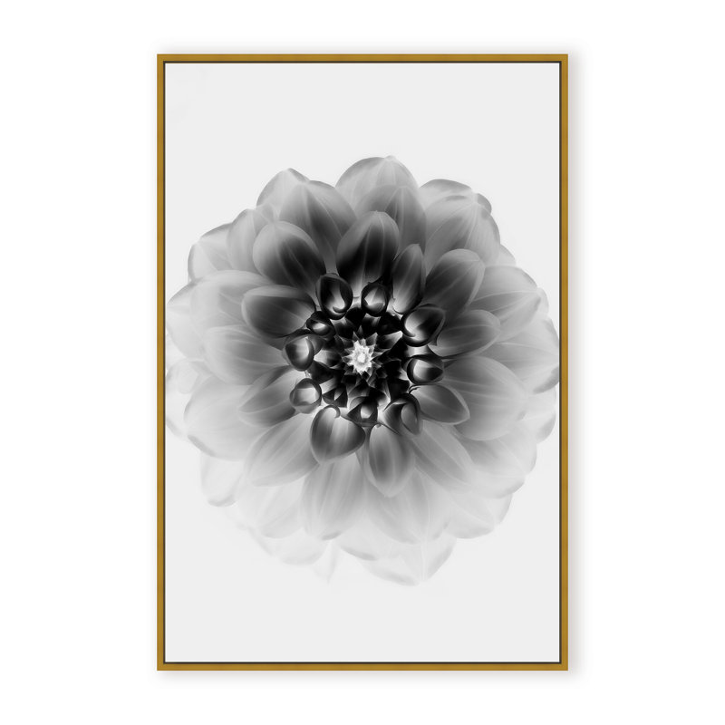 X-Ray Print by Alex Zhao, 48" H x 32" W x 1.125" D, Black, Framed Matted Print