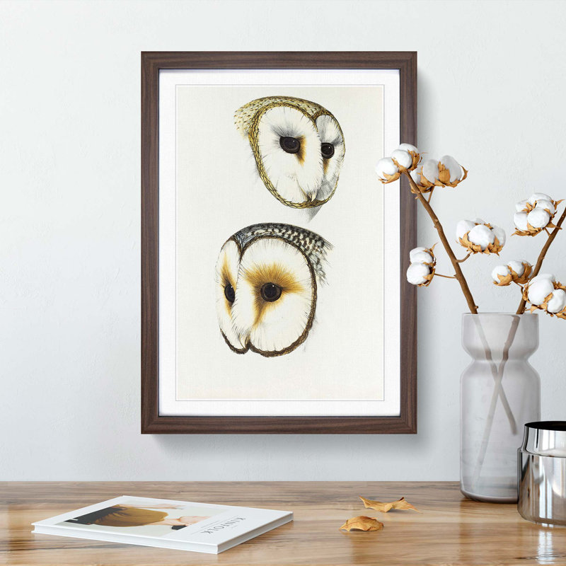 Illustration of Two Owls by John Gould - Picture Frame Painting Print, 65cm H x 48cm W x 2cm D, Walnut Framed