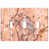 Pink/Beige