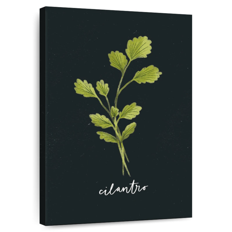 Harnek Herbs II - noir, H 51 po x l 34 po