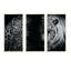 Léopard et tigre en noir - 3 pièces, cadre flottant, impression sur toile-1110340483-1110340484