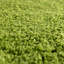 Tapis vert Renesha-1948829511
