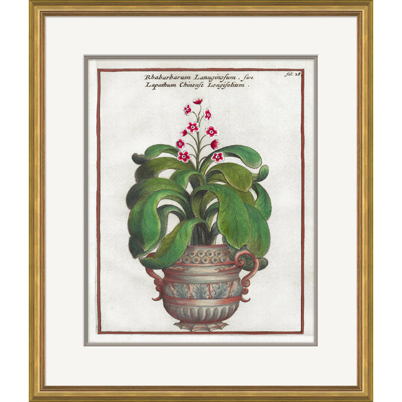 «Century Century Florilegium» - Peinture encadrée sur papier