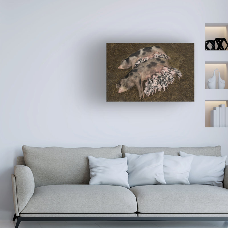 Art sur toile Gert Van Den Sœurs, H 16 po x l 24 po