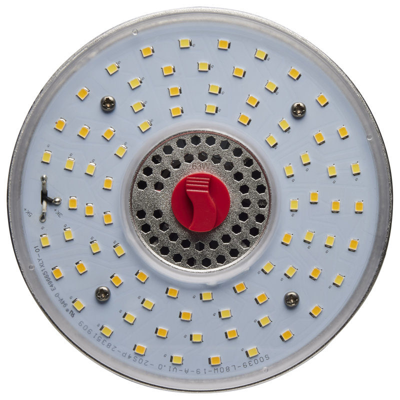 LED Dimmable Light Bulb, Selectable CCT E39/Mogul Base, 80 W