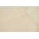 Darryl Wool Floral Indoor Rug