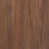 American Walnut
