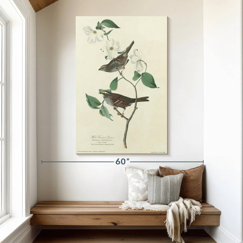 Brampt White Throated Sparrow, 51" H x 34" W