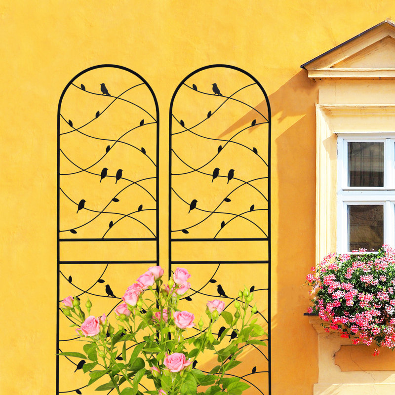 Treillis en métal antirouille, décoration de jardin noir pour le soutien des plantes d'extérieur