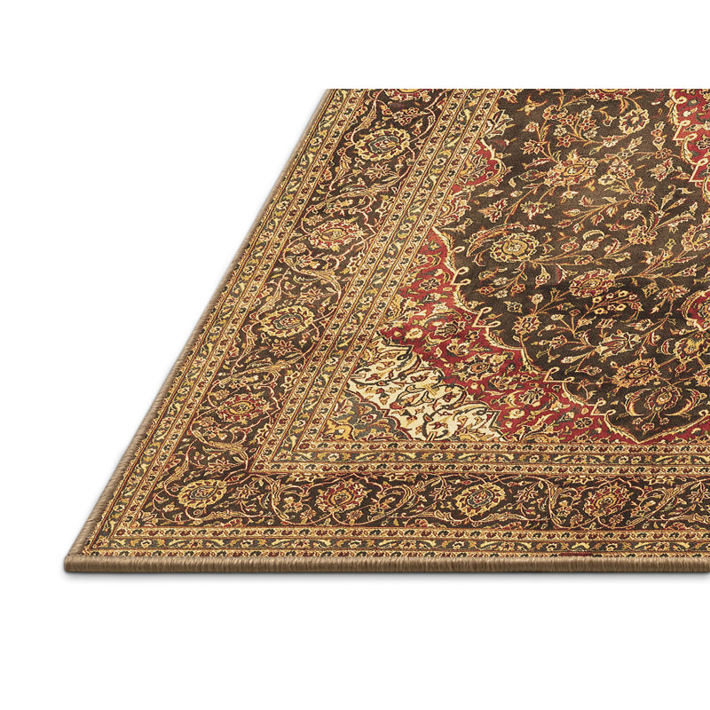 Abhaki Oriental Indoor Rug, Rectangle 2' x 4'