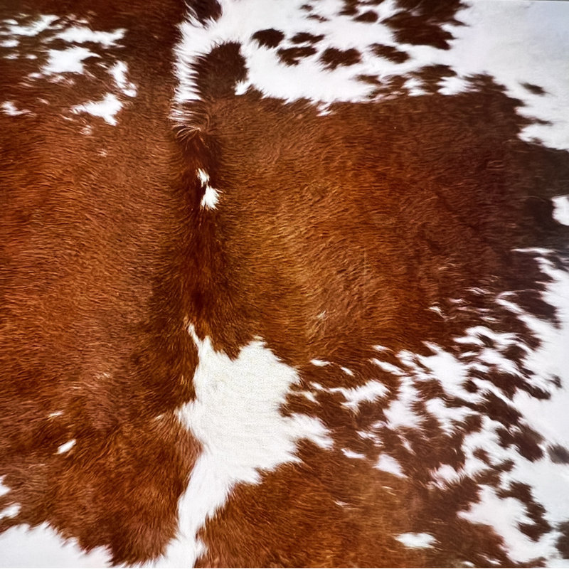 Tapis brun en cuir de vache véritable Nueva