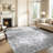 Machine Washable Non-Slip Gray/White Oriental Area Rug-1255516790