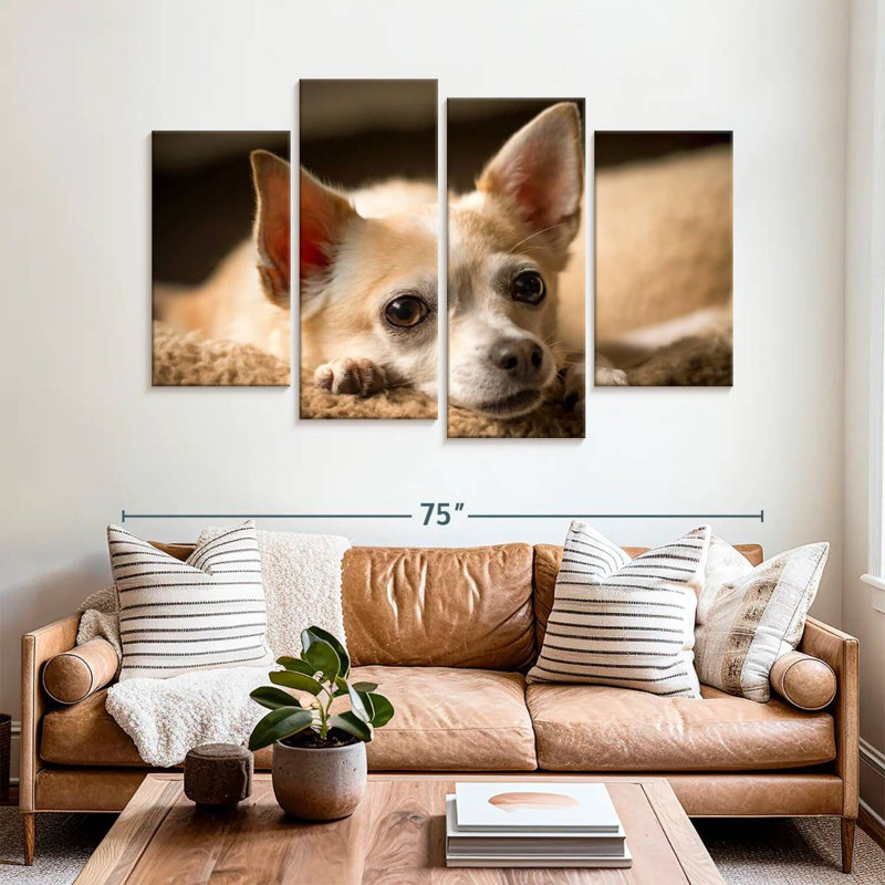 Brampt Resting Chihuahua, 42" H x 68" W