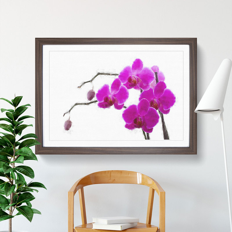 Orchid Flowers Vol.2 - Framed Print, 36cm H x 48cm W x 2cm D, Walnut Framed