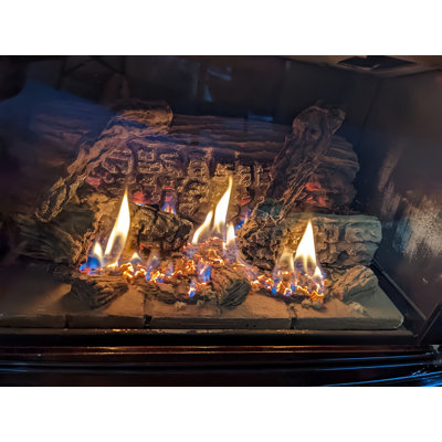Americangaslogs 15–28 inch Indoor Vented Gas Logs Set with iron Burner Pan and Remote Control, Propane  Natural Gas Fireplace Use (Motor Valve, 28 inch Two Pipe)