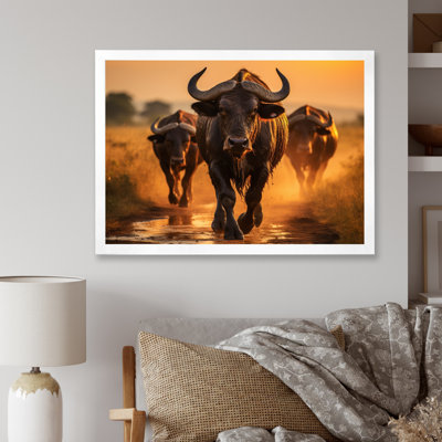 Parc national du Serengeti, Tanzanie VI