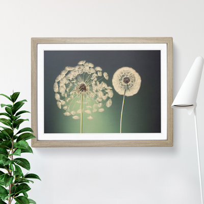 XH1022-10136X Wholesome Dandelion Flowers 1 Piece Single Picture Frame Wall Art