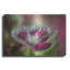 Art mural luxueux «Macro Flowers 05» par Gordon Semmens, 36 po x 24 po-735019237