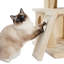Arbre à chat 34 pouces-575839217