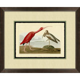 Scarlet Ibis Painting