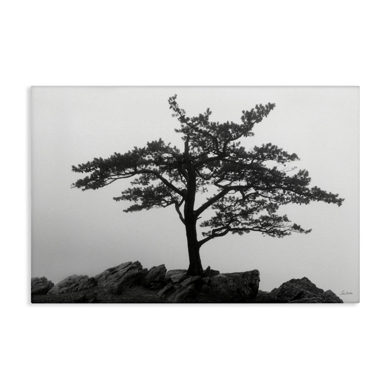 Art mural sur toile Lone Tree on Rocks par Lori Deiter, H 30 po x l 45 po