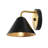 Lissie Iron Armed Sconce