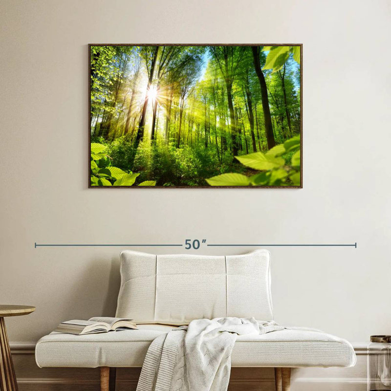 Forêt ensoleillée, Cadre flottant noyer, 40 po x 27 po