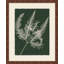 Leaf Impressions 6 Print