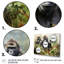 Reproduction d'art mural Bwindi Gorilla In Forest-713440975-713440974