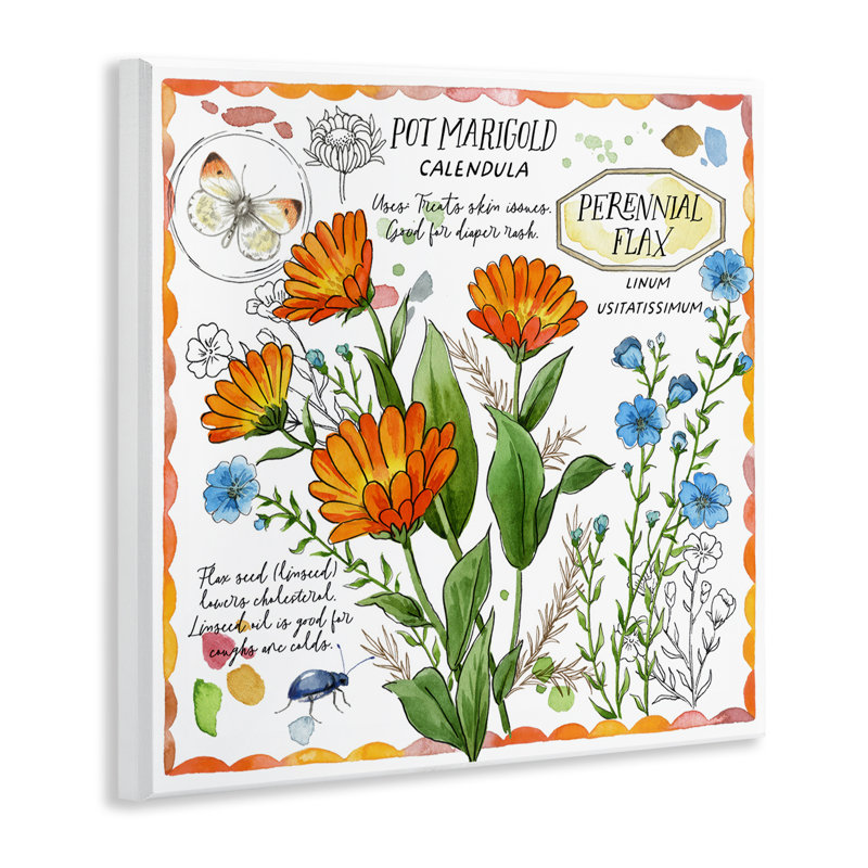 «Country Herb Uses Wall Art» par Jane Maday
