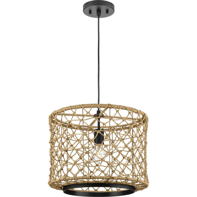 Asis 1 - Light Caged Pendant