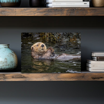 Reproduction d'art murale flottante loutre de mer contemporaine