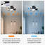 Ventilateur de plafond Metheny 21