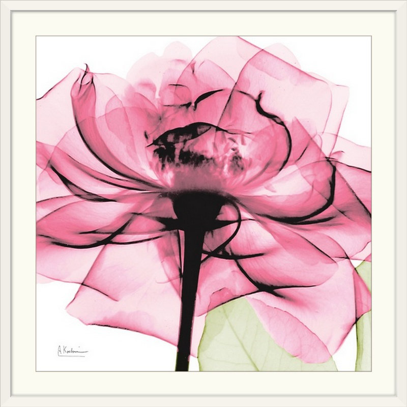 "Manigault" Rose X-Ray par Kiranjit, reproduction de photo, H 38 po x l 38 po x P 1 po, Cadre blanc