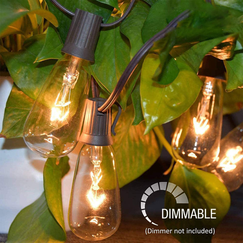 Culmore 22 - Bulb 240'' Plug-in String Light, Black