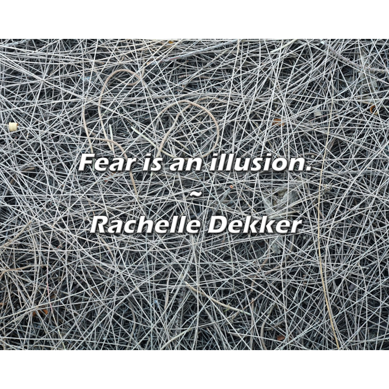 Rachelle Dekker Citation: La peur est une illusion., H 15 po x l 18 po