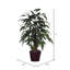 Buisson artificiel de manguier-287819049