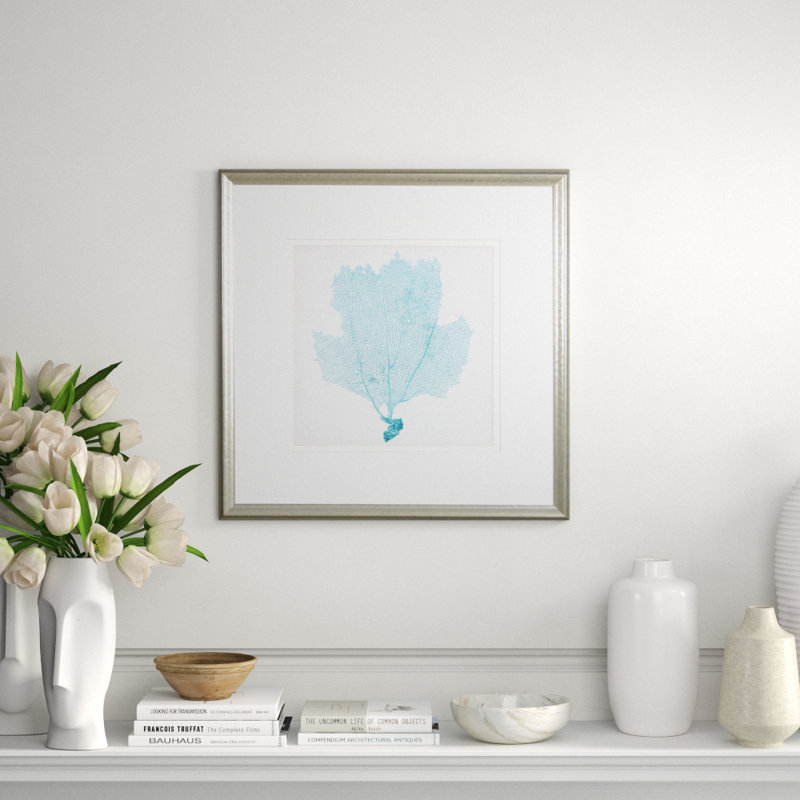 Sea Fan III Print by Vision