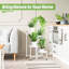 Aubre Plant Stand-1516875687