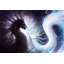 «Yin and Yang Dragons» par Jonas Jödicke, impression sur toile tendue-15934852