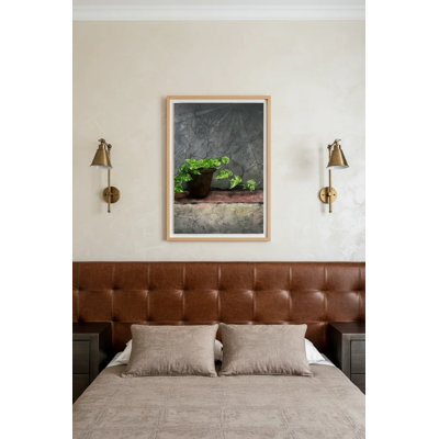 La plante