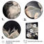 «Grey White Resilience Succulent», reproduction sur toile-1694049663-1694049632